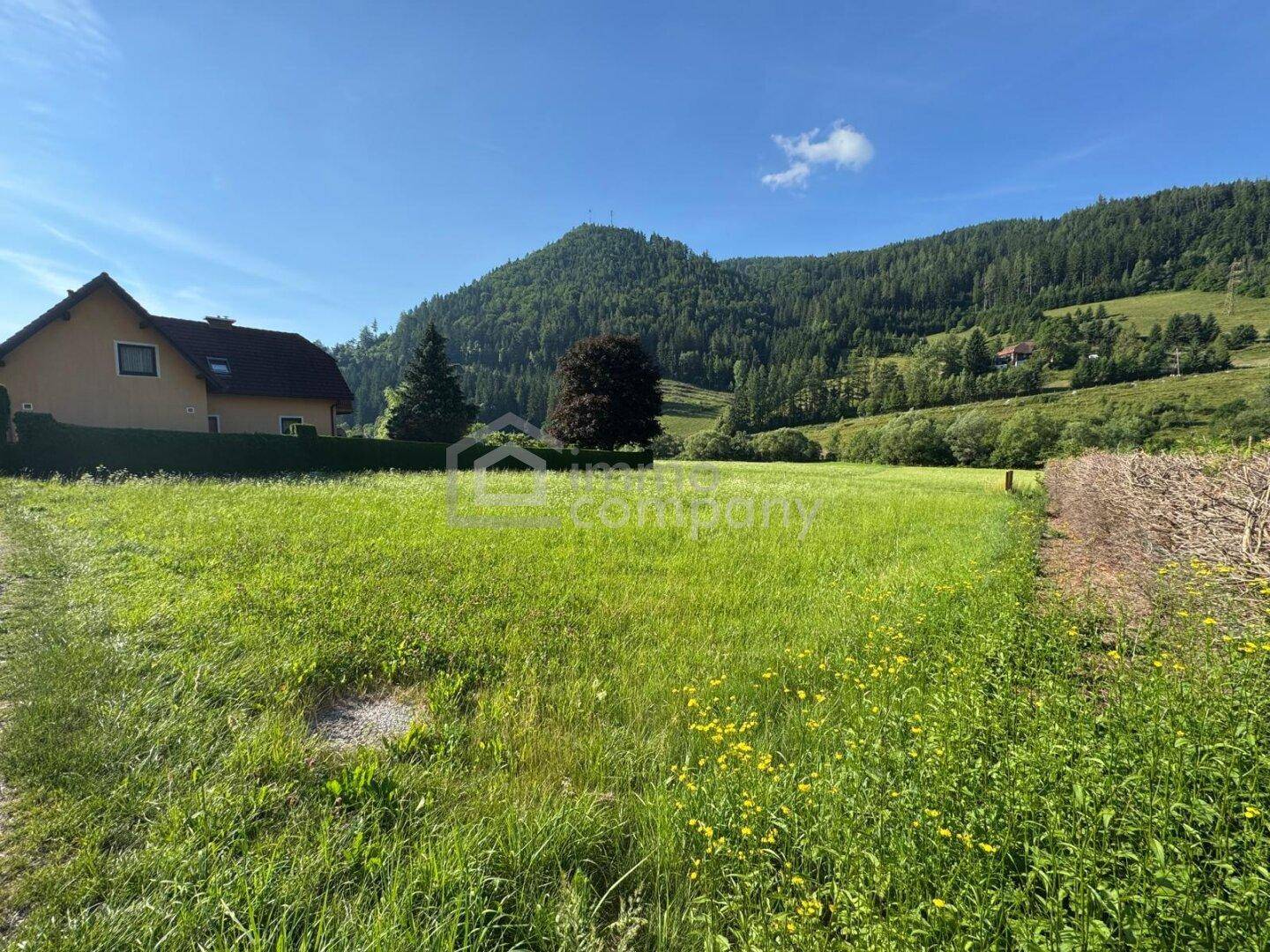Grünes Feld mit Wildblumen und einem Haus am Rand, umgeben von bewaldeten Hügeln.