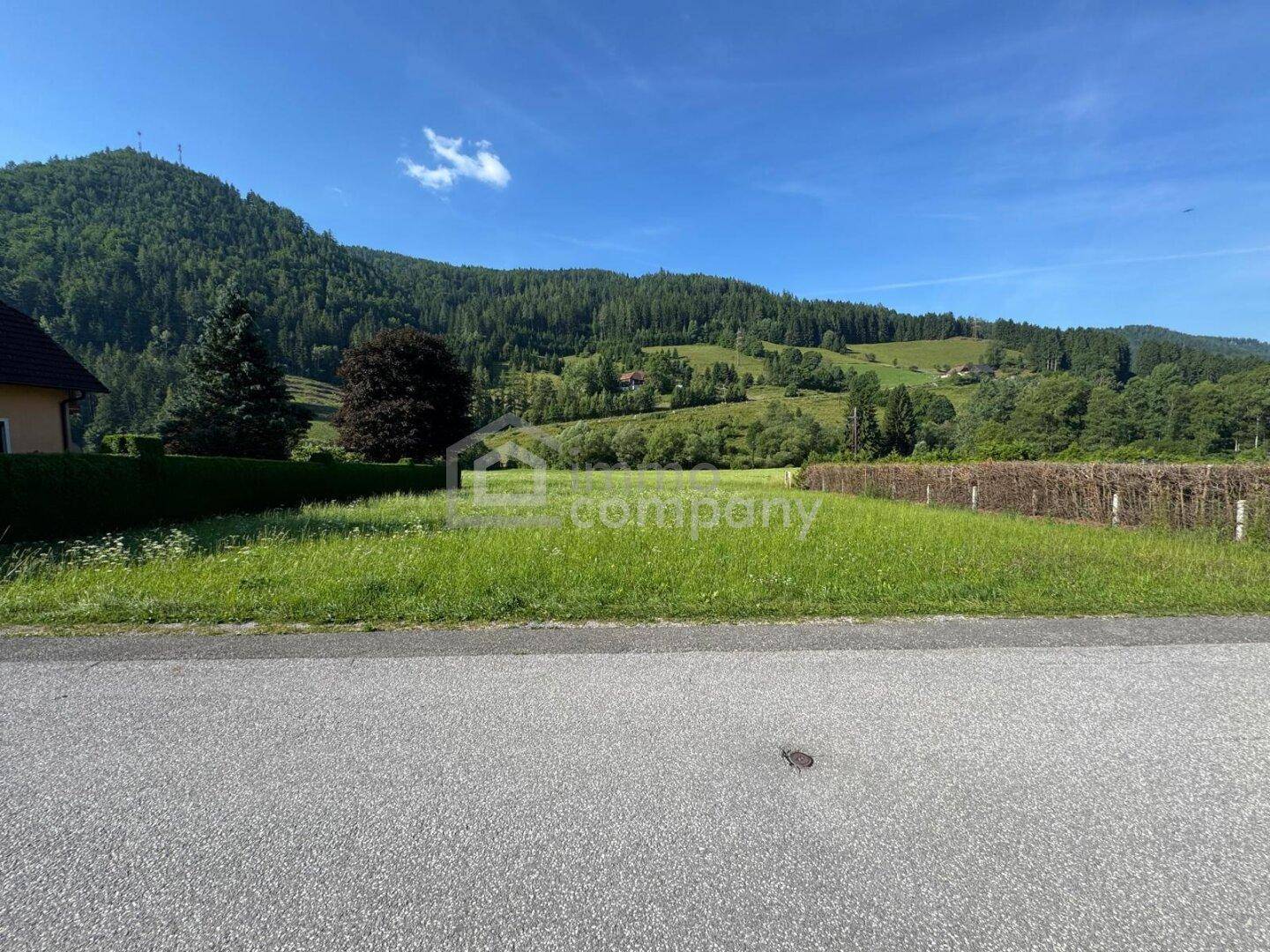 Blick von einer asphaltierten Straße auf ein grünes Grundstück mit Hecke und bewaldeten Bergen im Hintergrund.