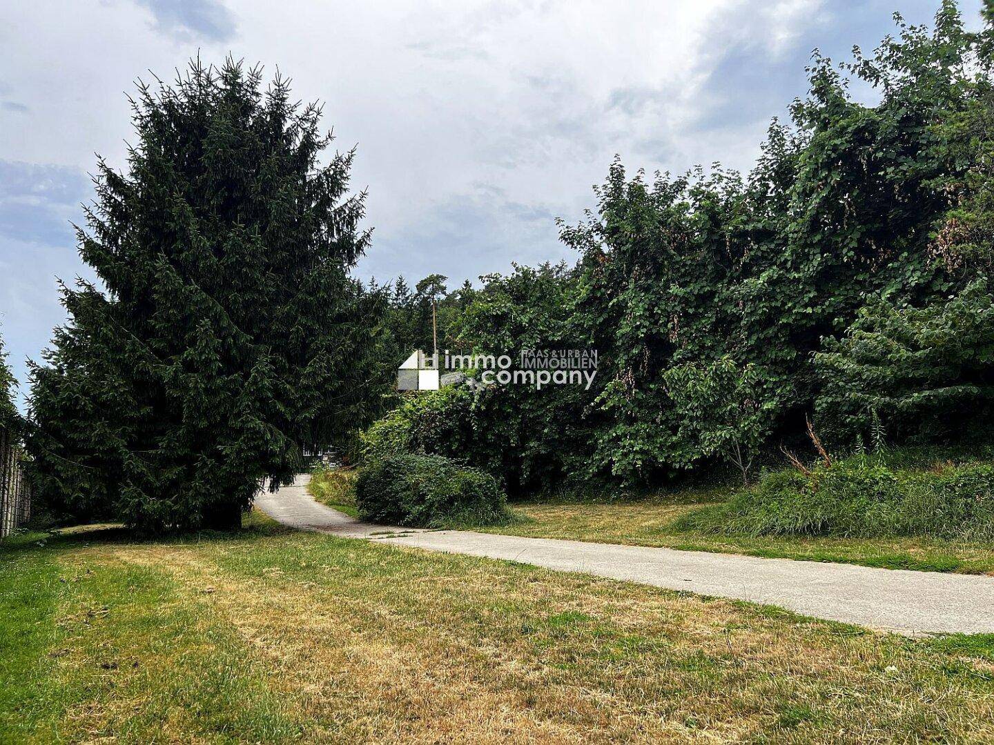 Garten Richtung Westen