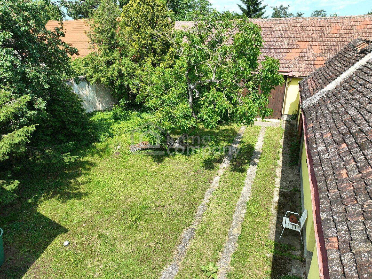Grüner Gartenbereich mit Rasen, Bäumen und Betonwegen, umgeben von ländlicher Bebauung.
