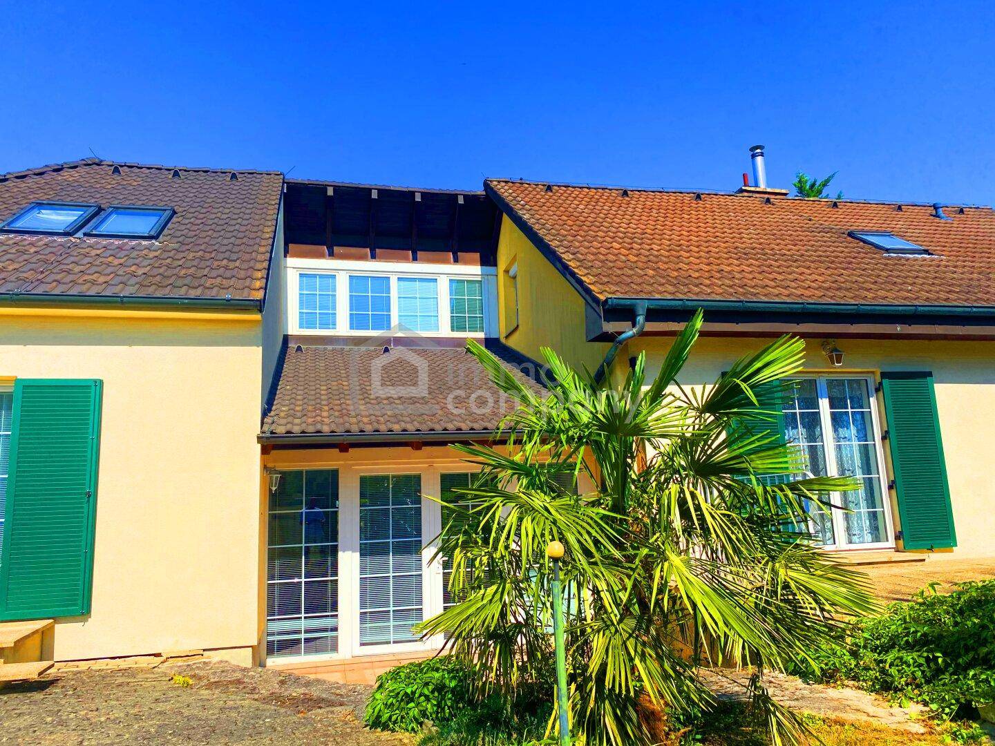 Detailansicht der Hausfassade mit Dachfenstern, grünen Fensterläden und einer Palme im Vordergrund.