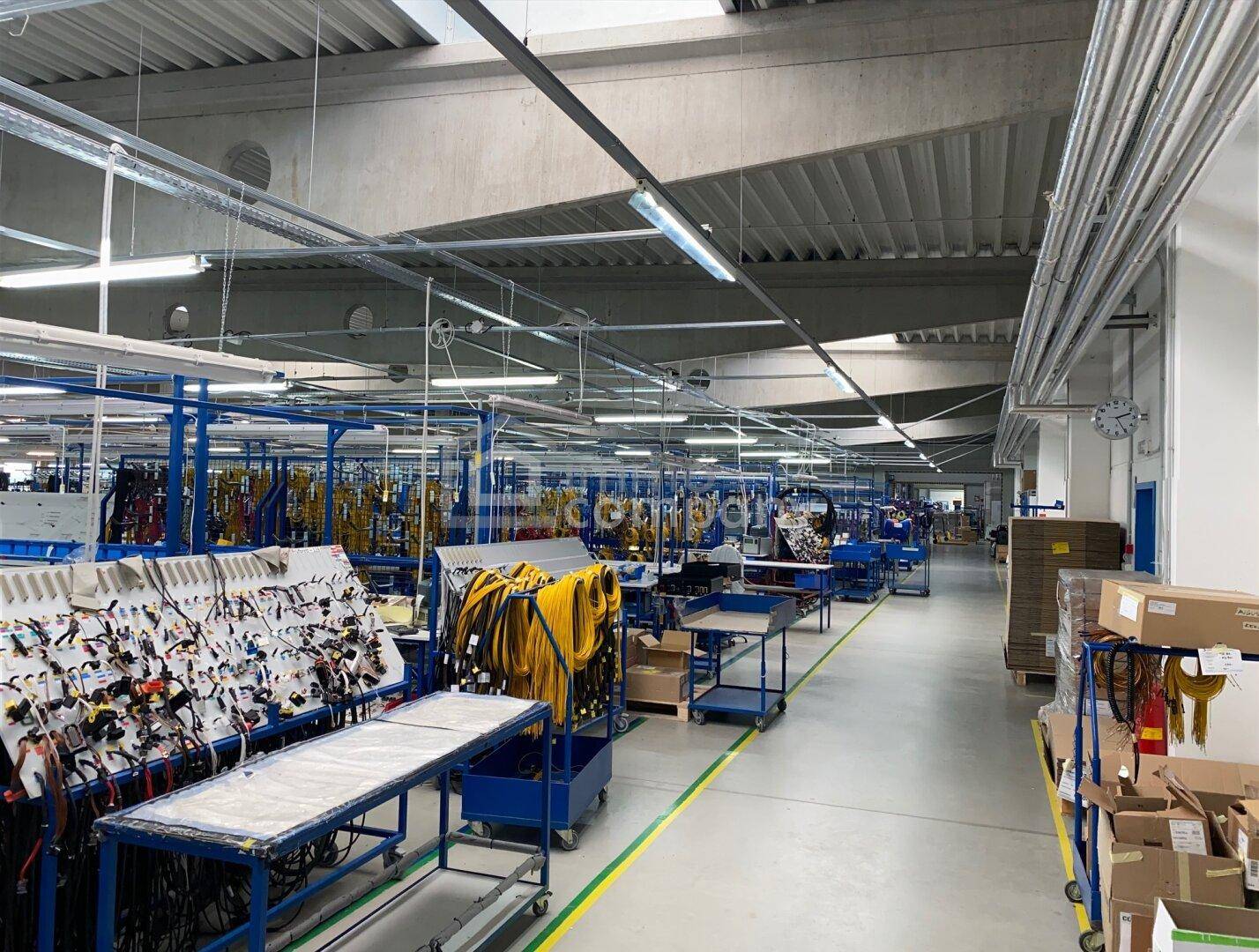 Weitläufige Produktionshalle mit zahlreichen Arbeitsstationen und Kabelbäumen.