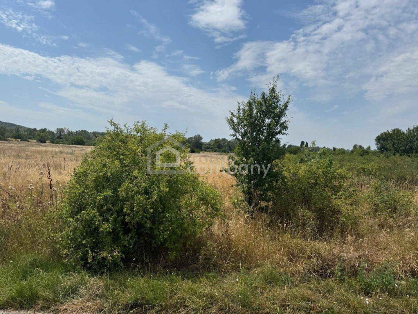 Unbebautes Grundstück mit trockener Vegetation und Büschen unter einem klaren Sommerhimmel.