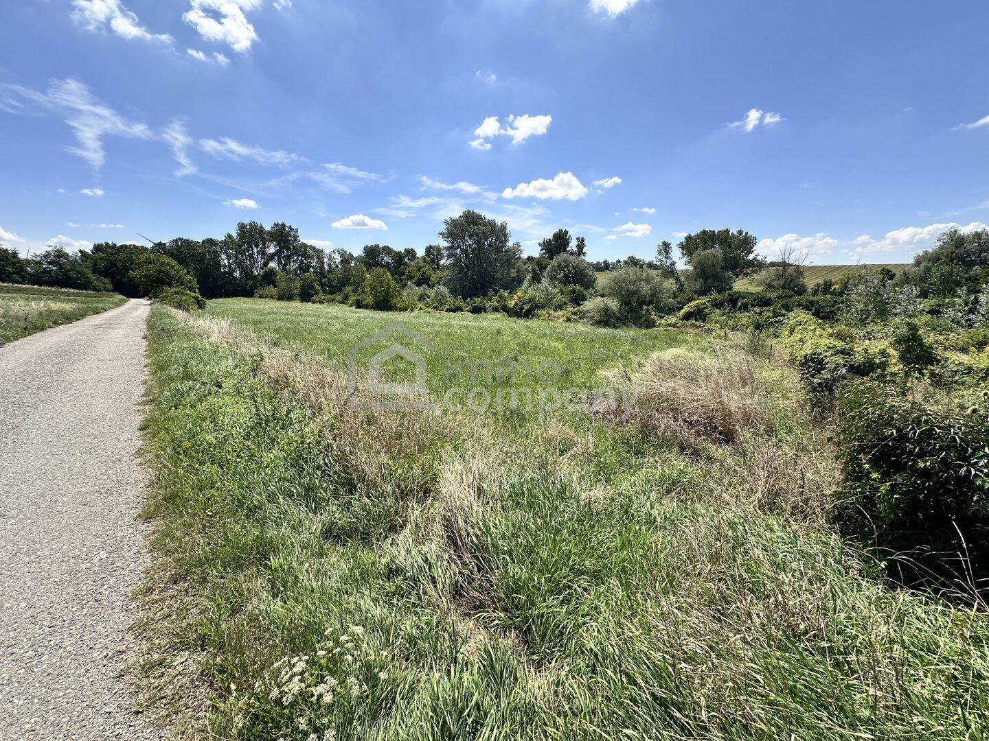 Weitläufige grüne Wiese mit einem Schotterweg und Bäumen im Hintergrund unter blauem Himmel.