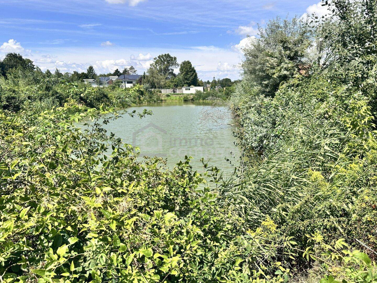 Idyllischer Blick auf einen kleinen See, umgeben von üppiger Vegetation und Häusern in der Ferne.