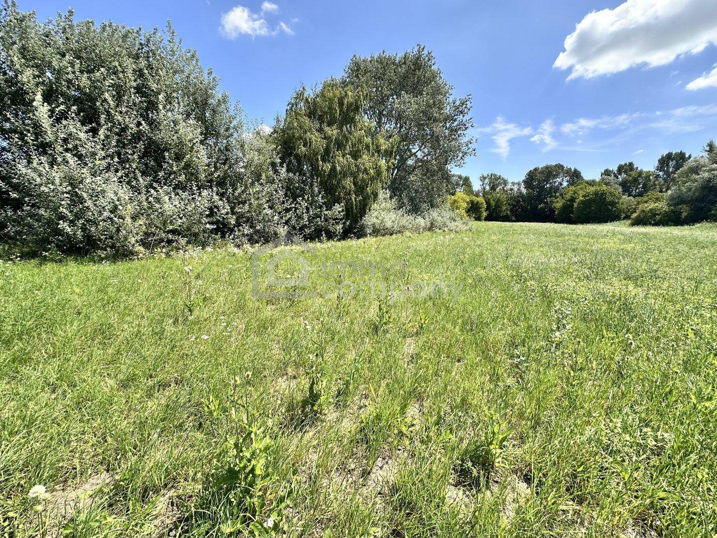 Grüne Wiesenlandschaft mit vereinzelten Bäumen und Büschen, die eine ruhige und natürliche Umgebung schaffen.