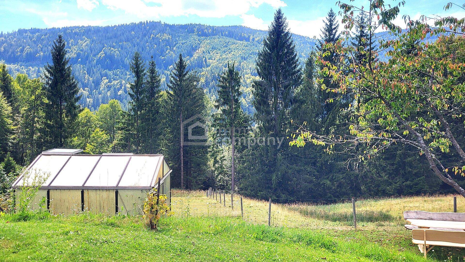 Grüner Gartenbereich mit Gewächshaus und weitem Blick auf die bewaldeten Berge.