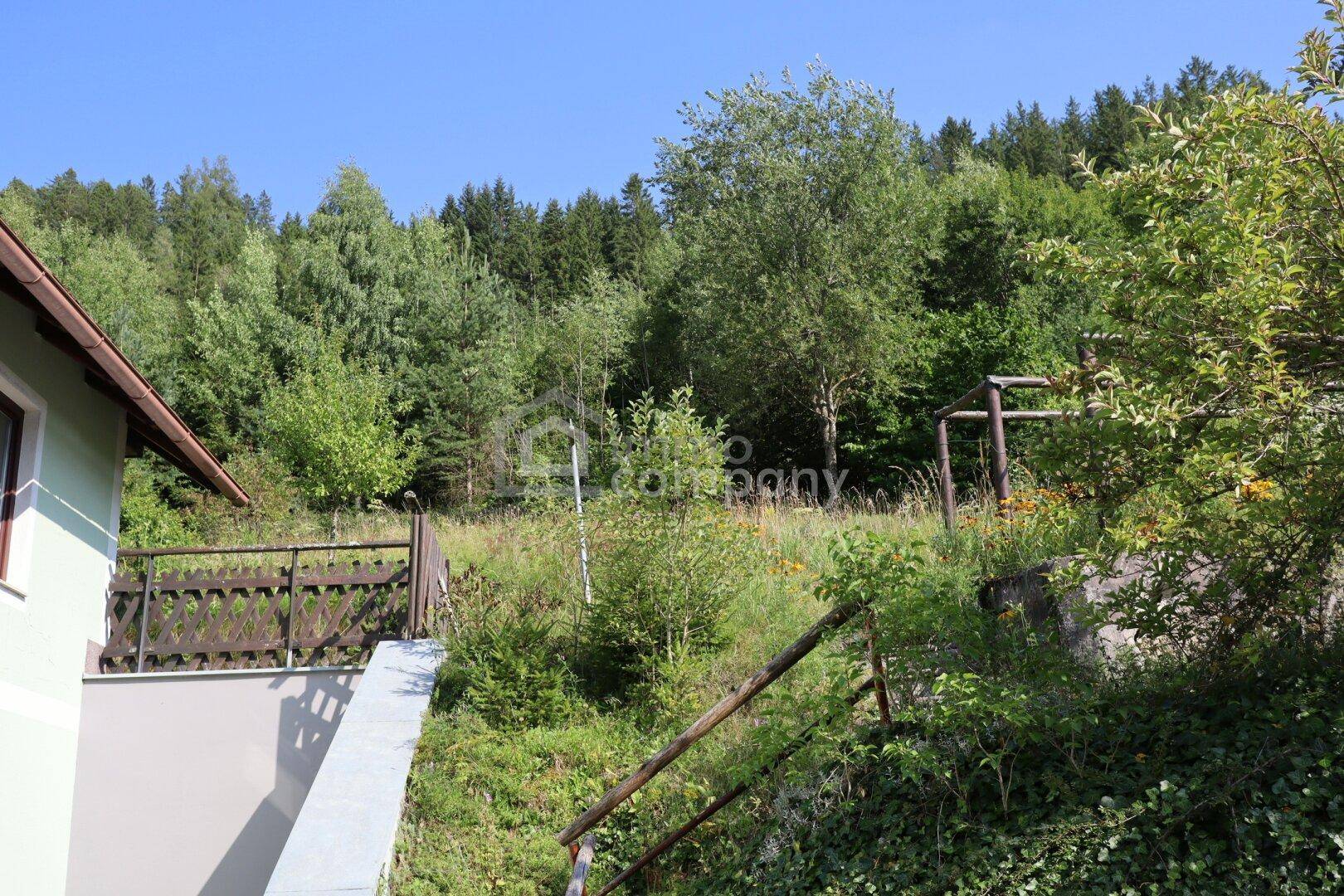 Naturbelassener, hanglagiger Gartenbereich mit Bäumen und Sträuchern, angrenzend an einen Wald.