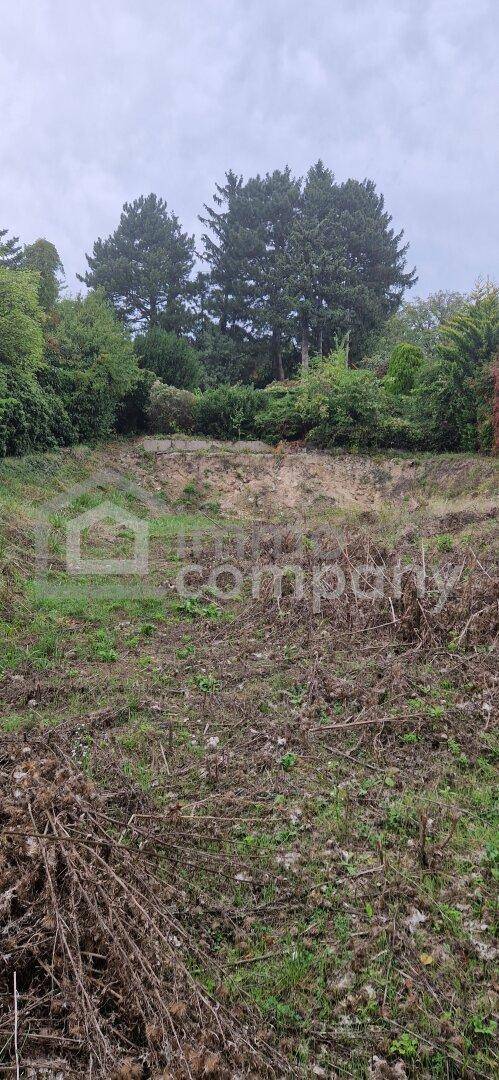 Weitläufiges Grundstück mit natürlicher Vegetation und Baumbestand im Hintergrund unter bewölktem Himmel.