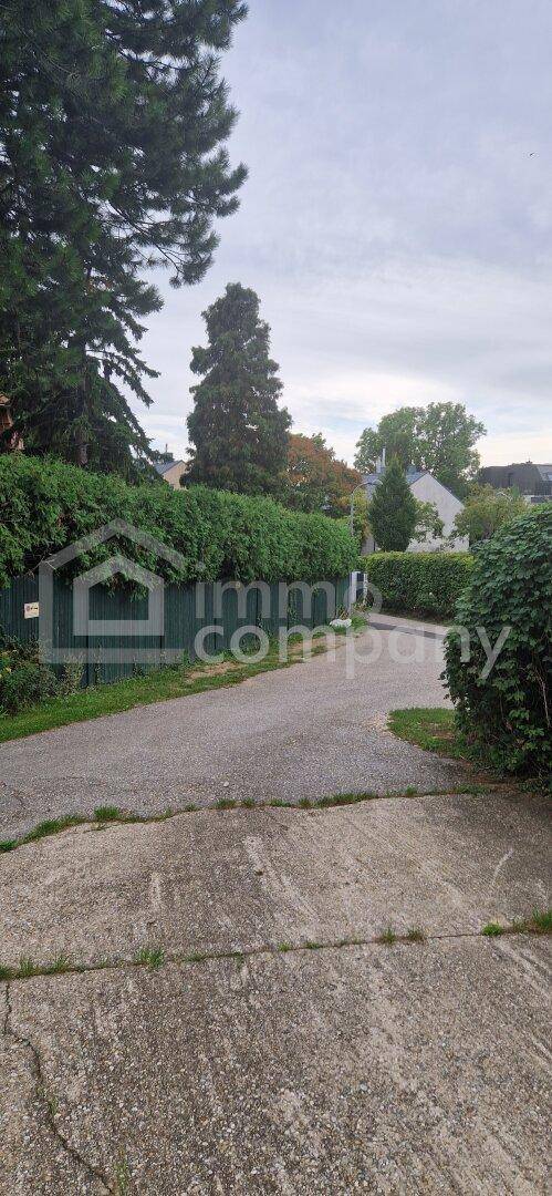 Gepflasterte Zufahrt zu einem Grundstück, umgeben von hohen Hecken und Bäumen, mit einem Haus im Hintergrund.