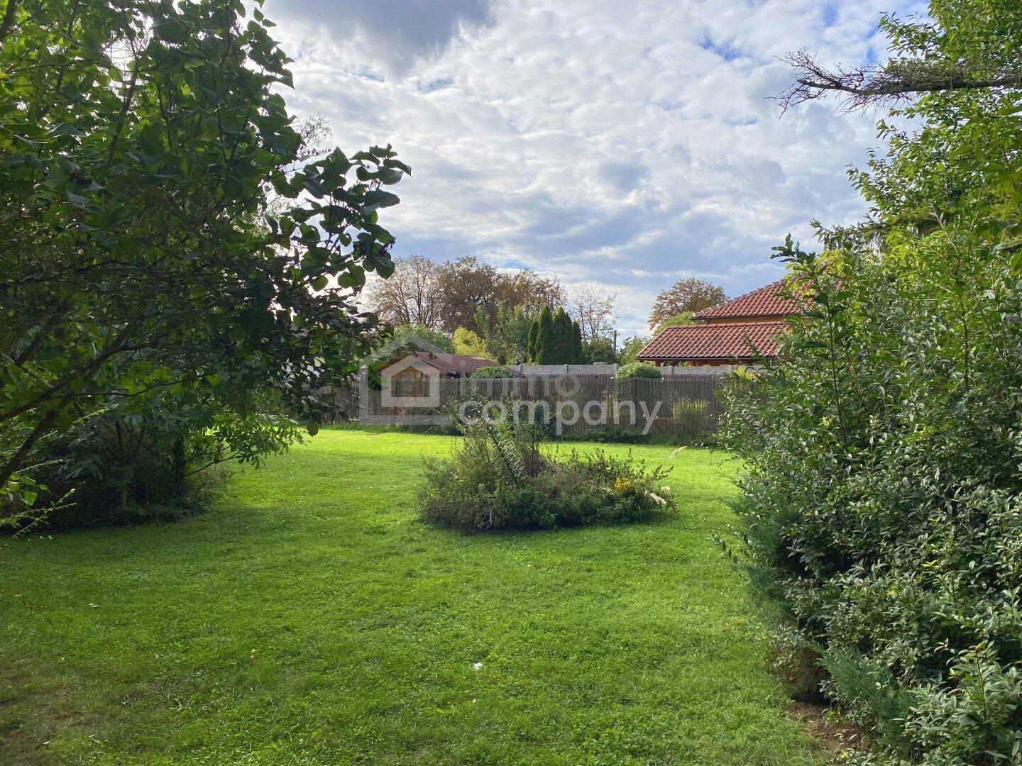 Großer, offener Gartenbereich mit Rasenfläche und Blick auf die umliegenden Häuser.