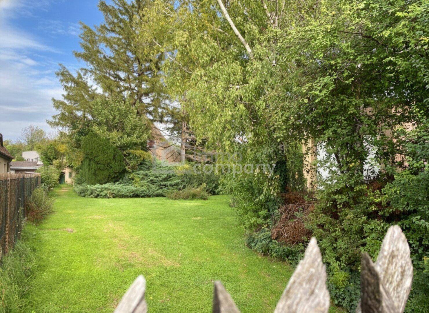 Weitläufiger, grüner Gartenbereich mit altem Baumbestand und natürlicher Bepflanzung.