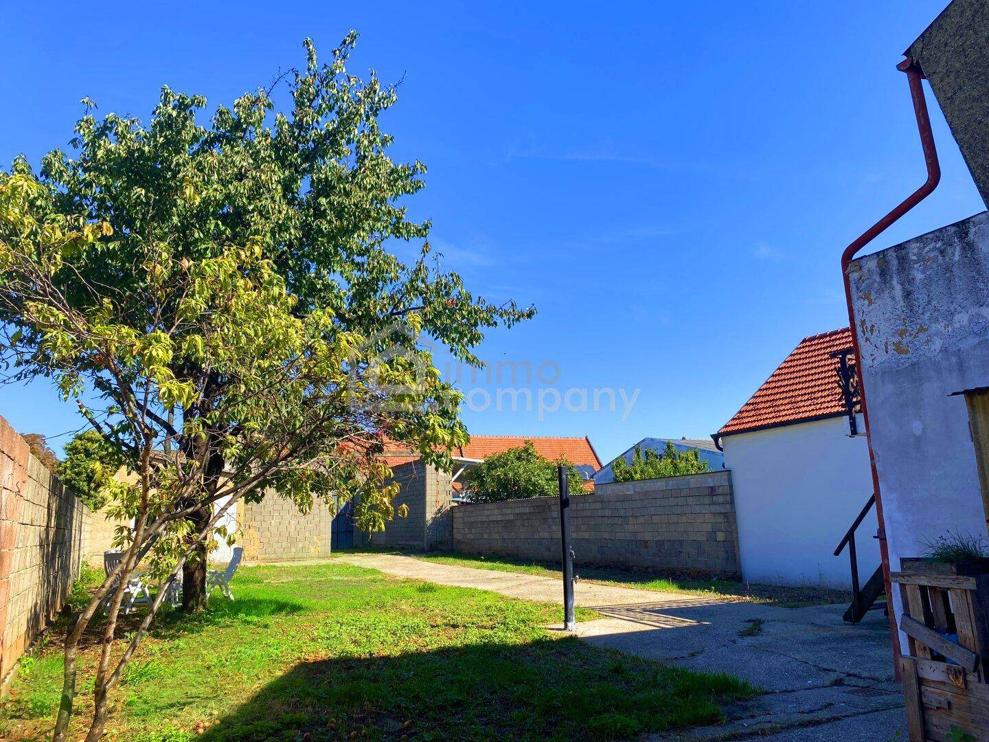 Gartenbereich mit Baum, Betonweg und umgebenden Mauern unter blauem Himmel.