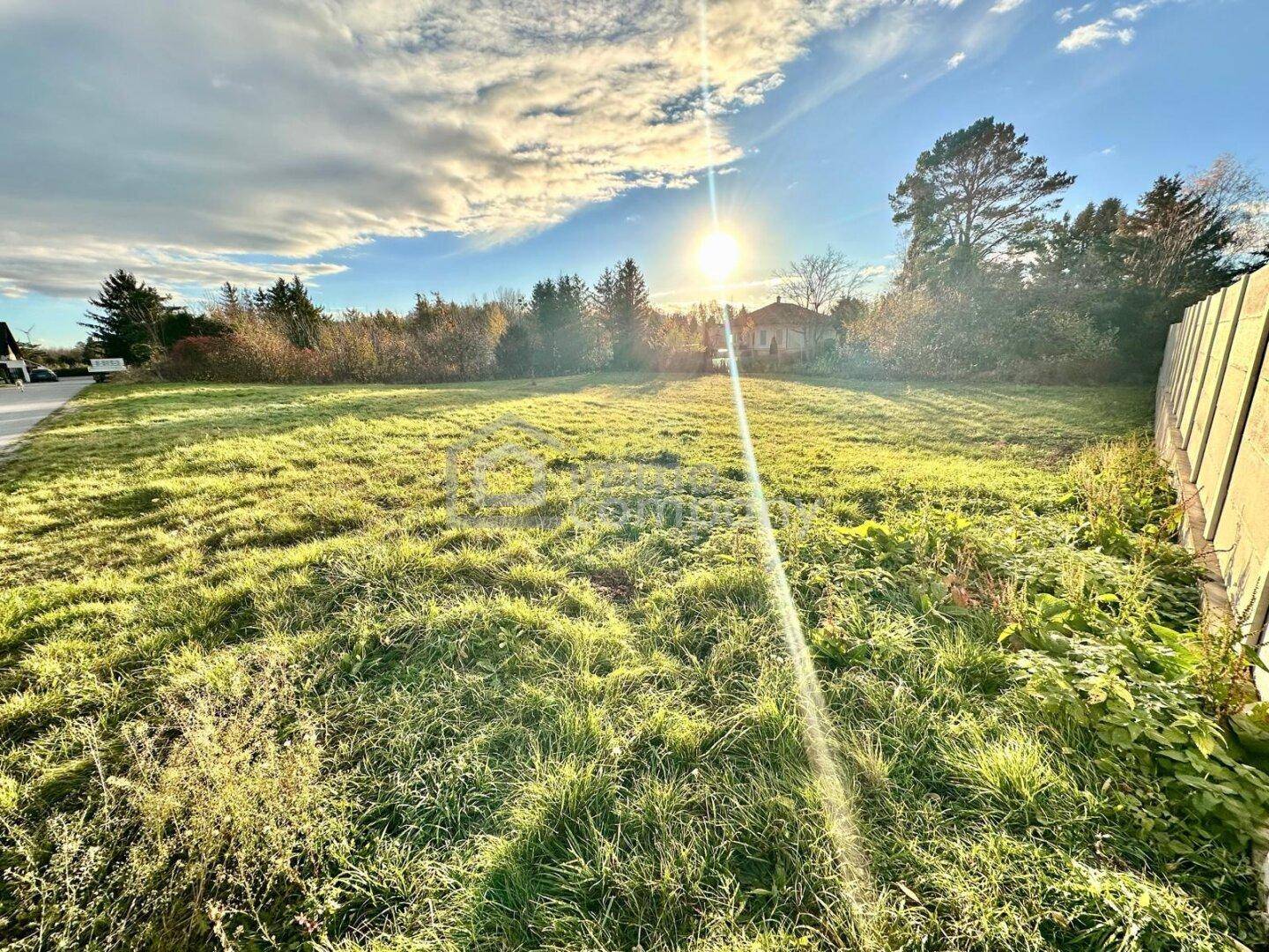 Sonniges, offenes Grundstück mit weitem Blick und angrenzender Straße.