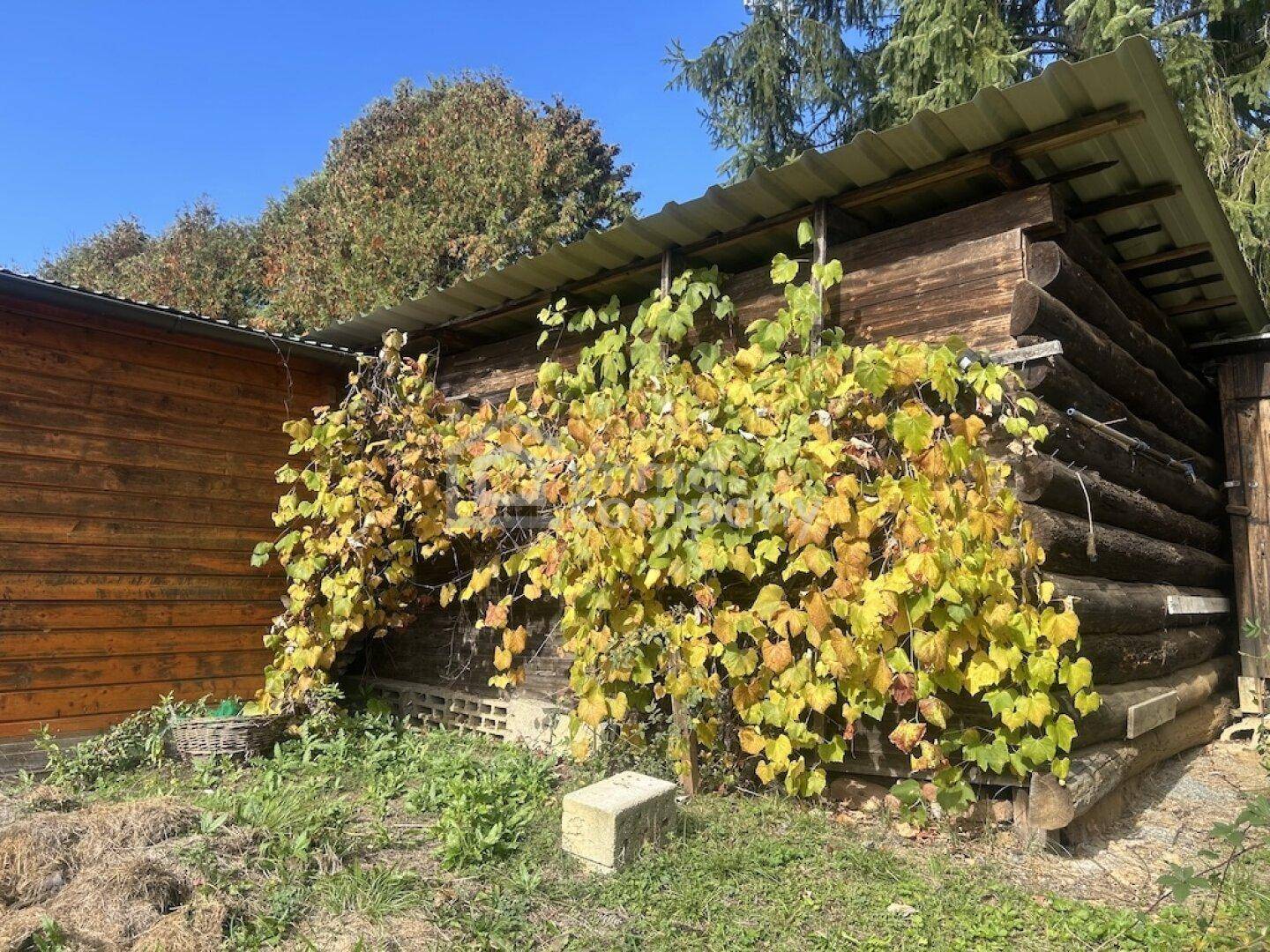 Rustikaler Holzschuppen mit üppigem Bewuchs von Kletterpflanzen im Garten.