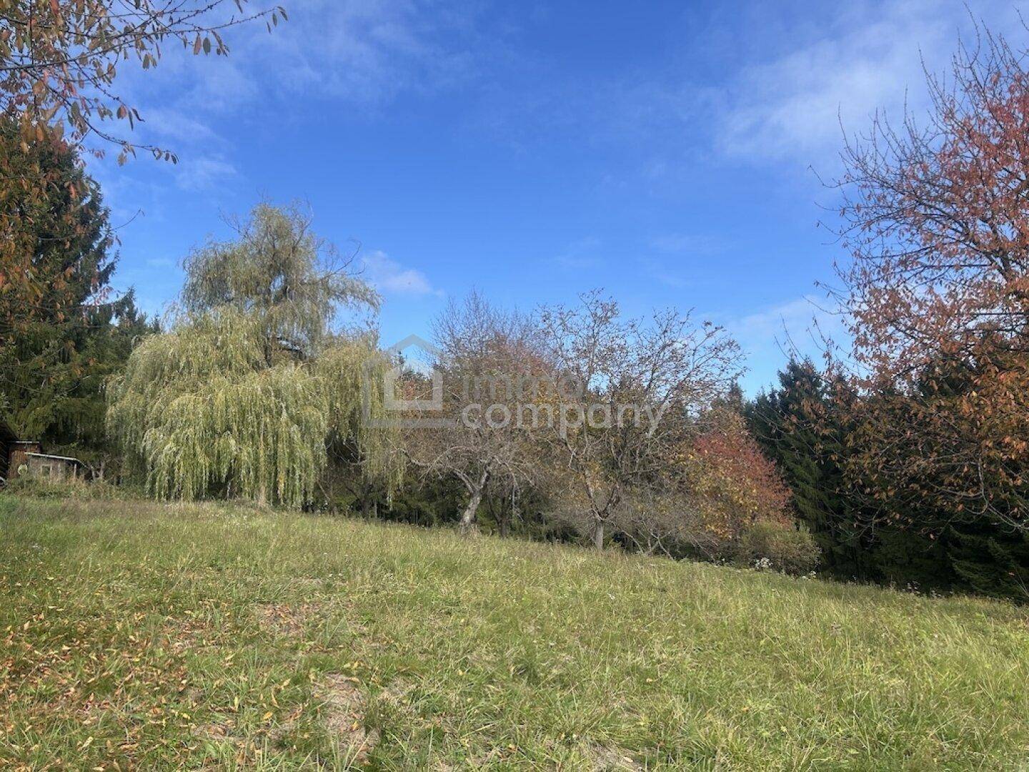 Weitläufige Wiesenlandschaft mit vereinzelten Bäumen und herbstlicher Laubfärbung unter blauem Himmel.