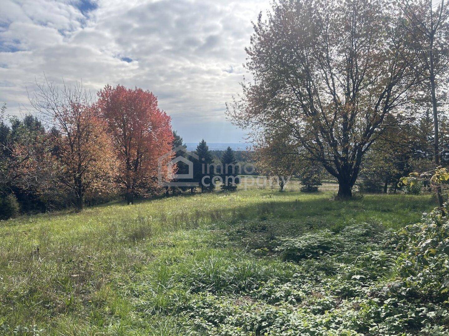 Grüne Wiese mit bunten Herbstbäumen und einem weiten Blick in die Ferne.