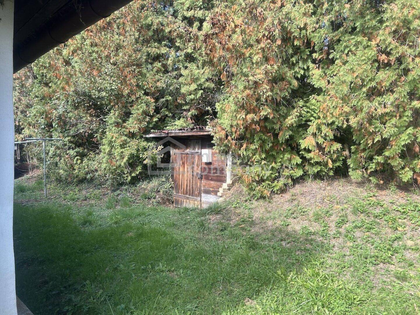 Kleiner Holzschuppen, umgeben von dichtem Grün und hohen Hecken im Gartenbereich.