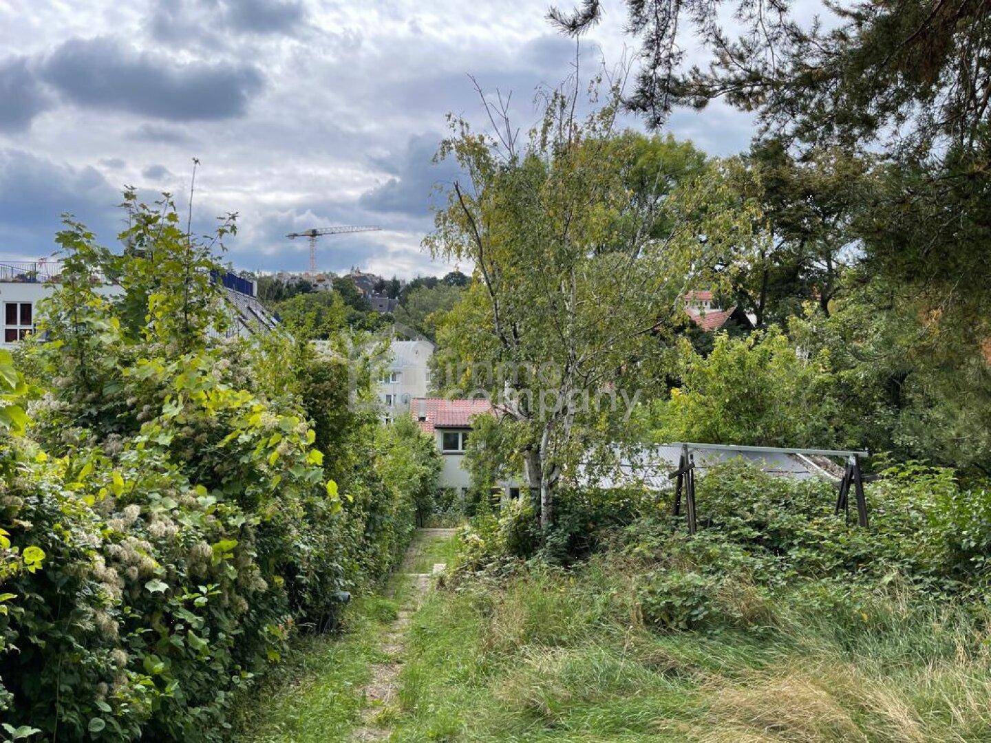 Verwilderter Gartenbereich mit Bäumen und Sträuchern, im Hintergrund sind weitere Gebäude sichtbar.