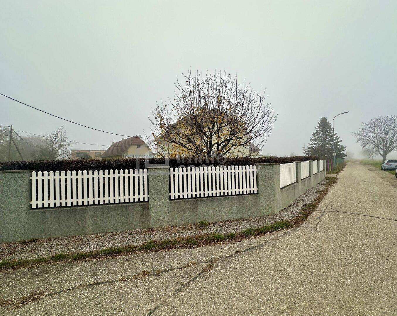 Blick von der Straße auf das Grundstück mit weißem Zaun und einem Baum.