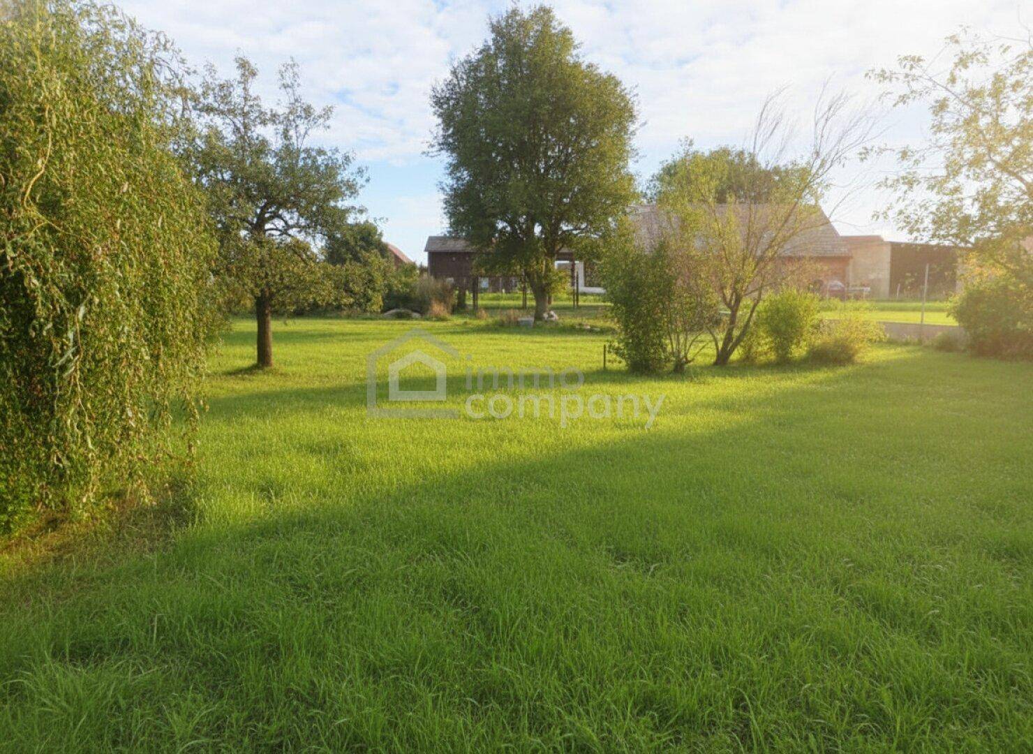 Weitläufiger grüner Garten mit Rasenfläche und altem Baumbestand unter blauem Himmel.