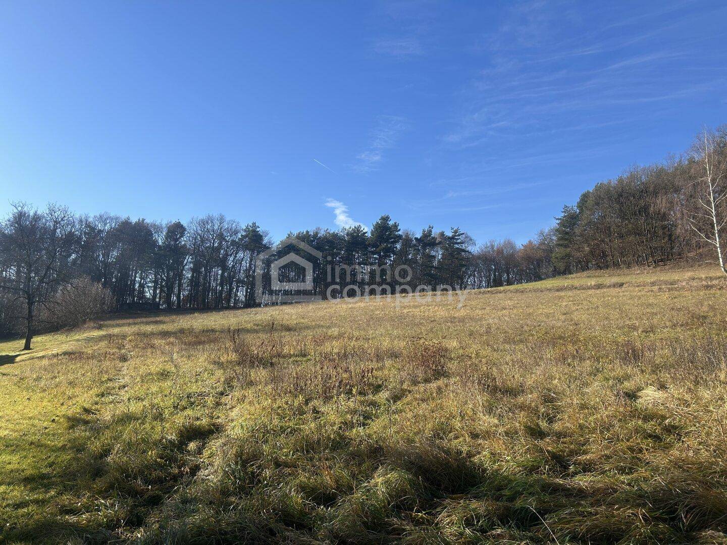 Idyllische Naturlandschaft mit weiten Feldern und Waldrand unter strahlend blauem Himmel.