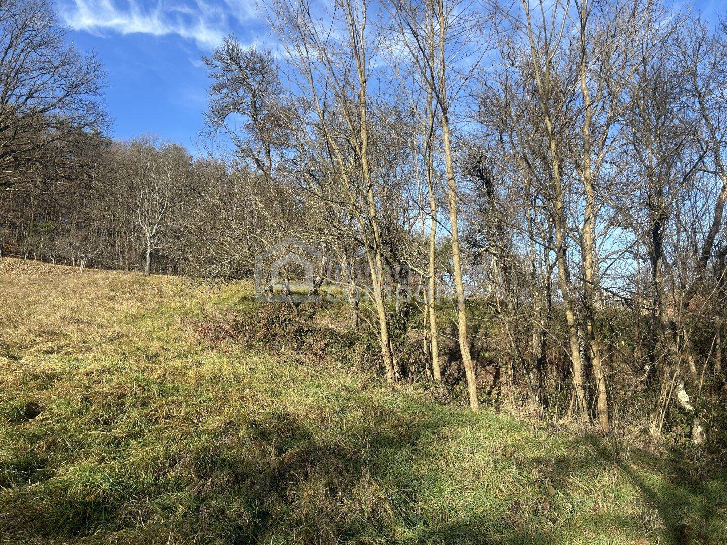 Naturbelassene Wiesen und Bäume am Hang, bieten eine ruhige und grüne Umgebung.
