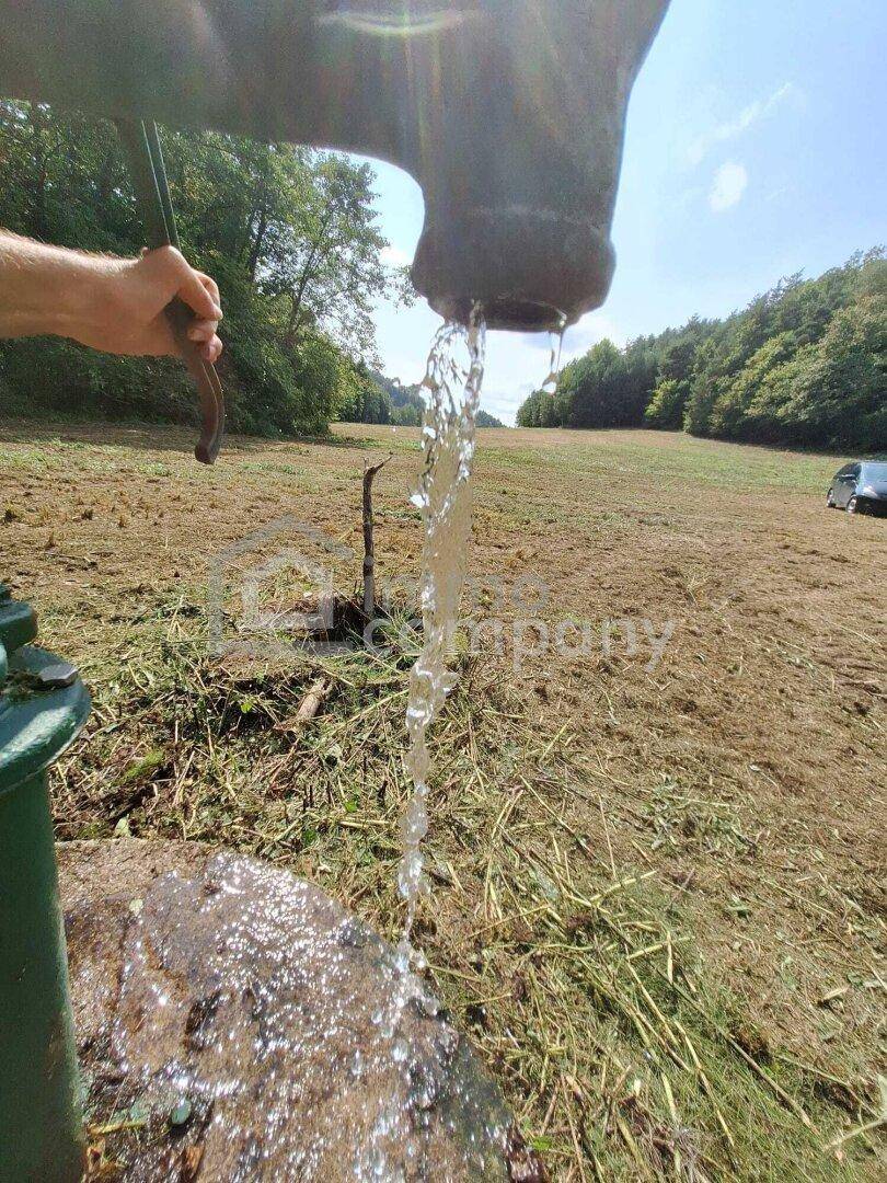 Eine alte Handpumpe fördert frisches Wasser auf dem weitläufigen Grundstück.
