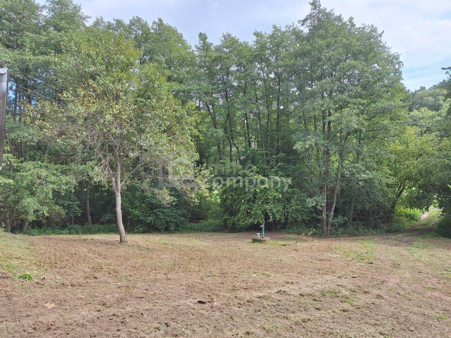 Großes, offenes Feld mit vereinzelten Bäumen und Wald am Horizont.