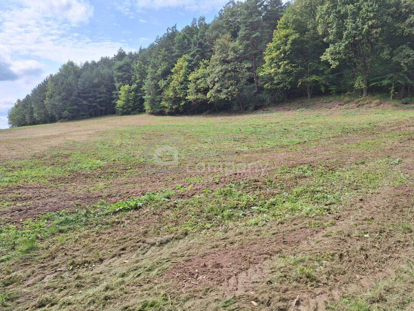 Ausgedehntes Feld mit sanfter Steigung und bewaldetem Hügel im Hintergrund.