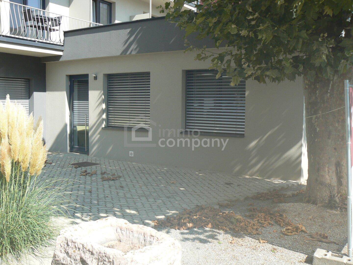 Außenbereich mit gepflasterter Terrasse, einem Baum und modernen Fenstern mit Rollläden.