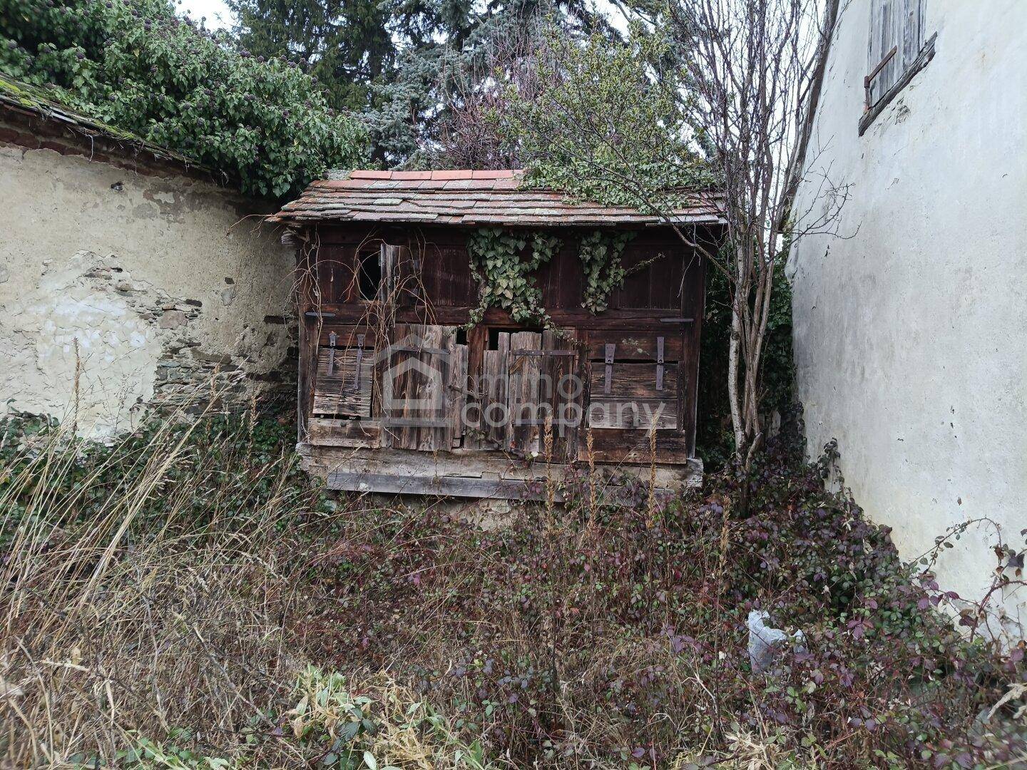 Verfallener Holzschuppen in einem überwucherten Gartenbereich mit viel Grün.