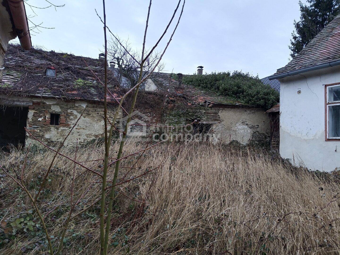 Rückansicht des Anwesens mit überwuchertem Garten und verfallenen Nebengebäuden.