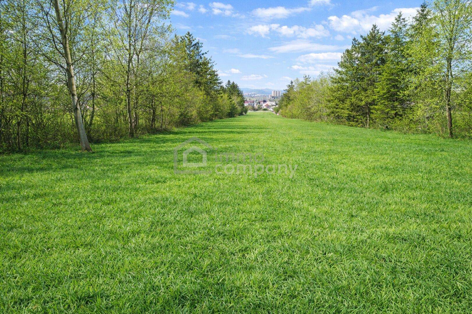 Grüne Wiese mit Bäumen am Rand und einem entfernten Blick auf eine Siedlung oder Stadt.