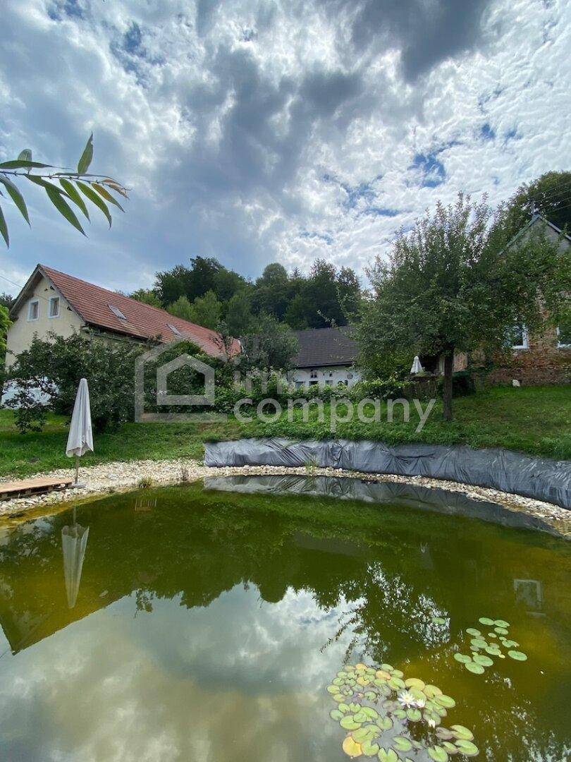 Großer Gartenteich mit Seerosen und Blick auf das historische Gebäudeensemble.