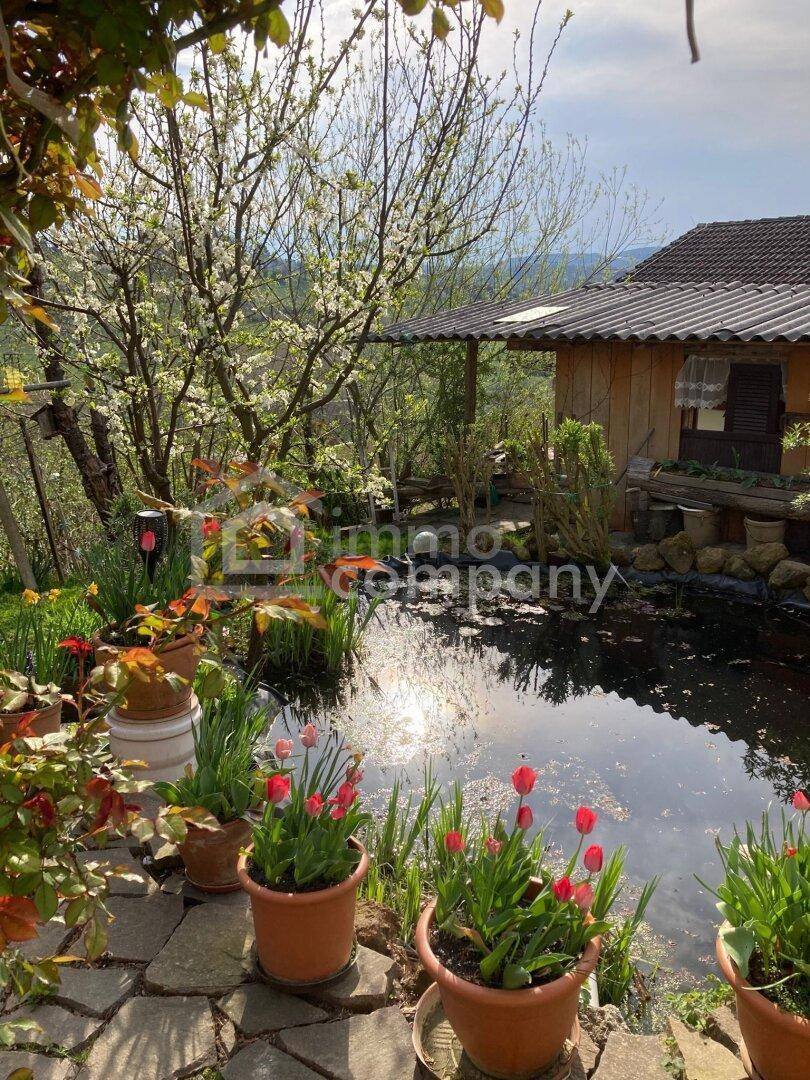 Idyllischer Gartenteich mit blühenden Tulpen und einem kleinen Holzhaus im Hintergrund.