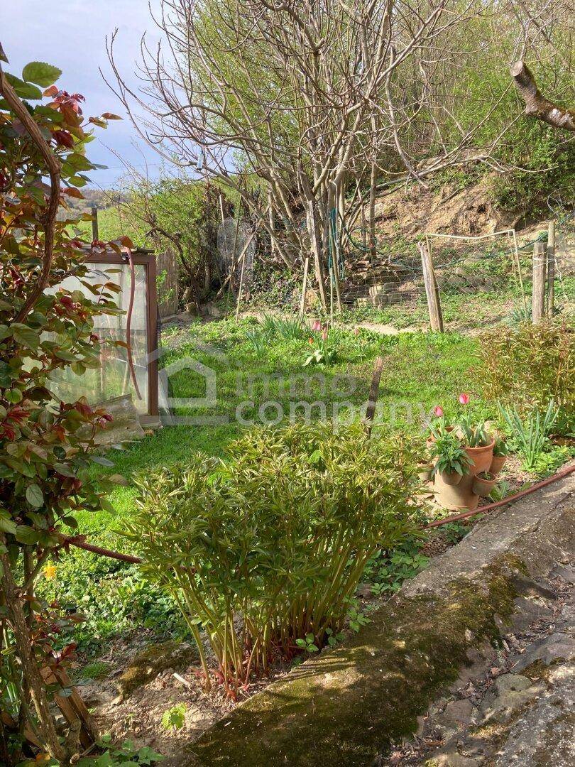 Naturbelassener Gartenbereich mit viel Grün, einem kleinen Gewächshaus und Blick ins Grüne.