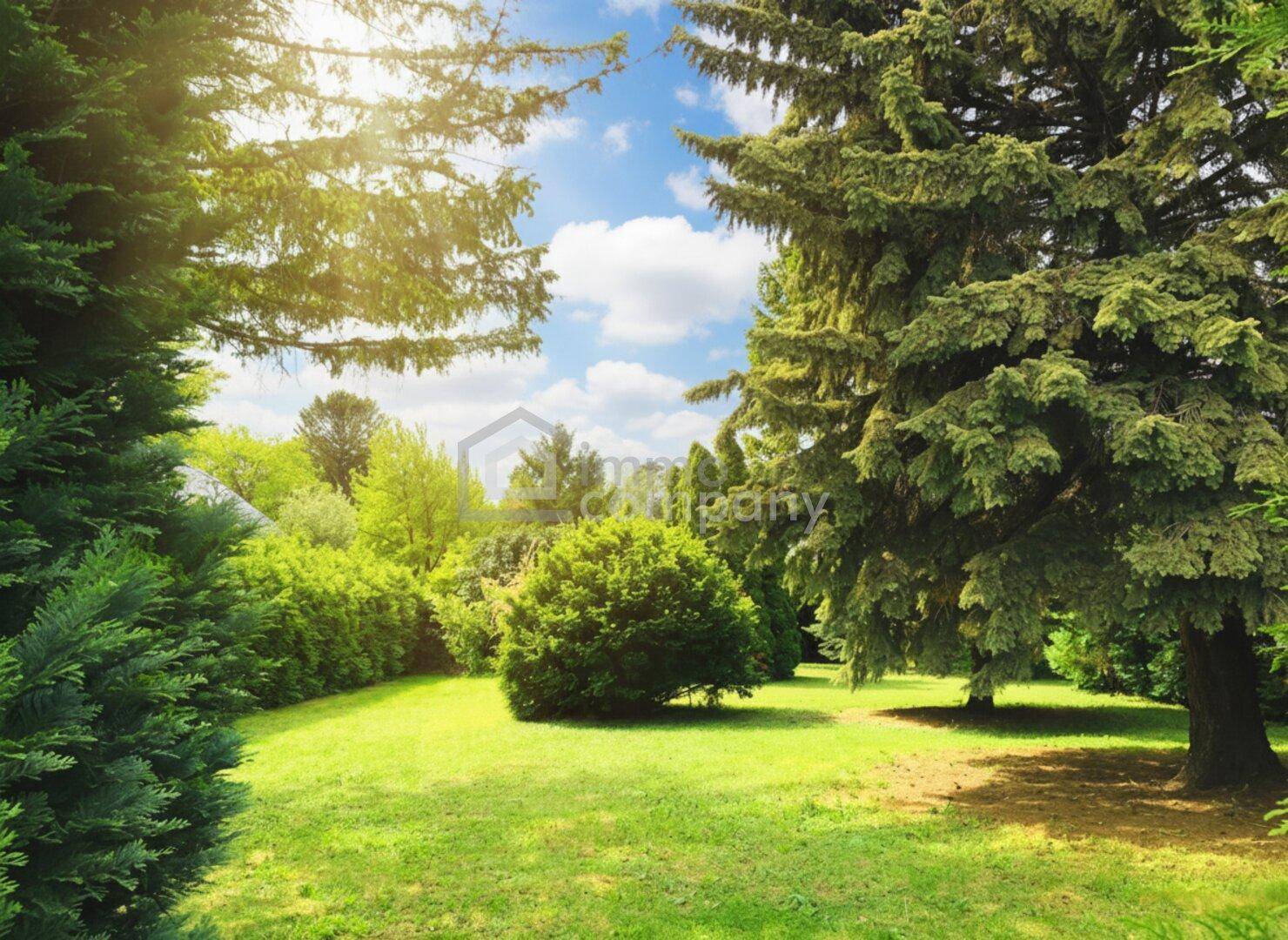 Weitläufiger Garten mit verschiedenen Bäumen und Sträuchern unter blauem Himmel.