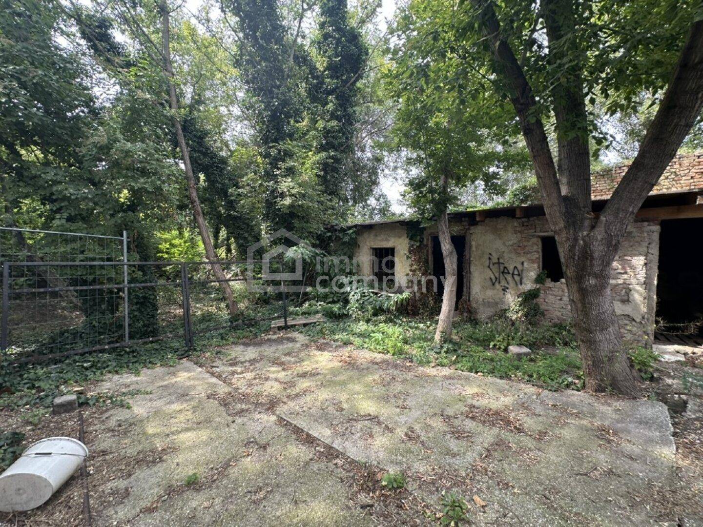 Blick auf das baufällige Gebäude und den verwilderten Gartenbereich mit hohem Baumbestand.