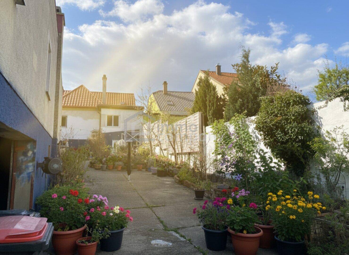 Sonniger Hinterhofgarten mit vielen Topfpflanzen und einem gepflasterten Weg.
