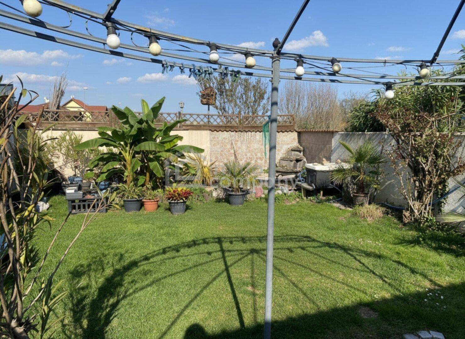 Sonniger Gartenbereich mit Rasen, exotischen Pflanzen und einer dekorativen Lichterkette.