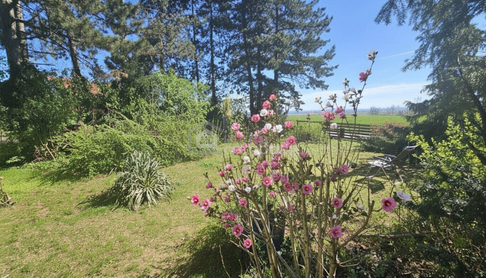 Gepflegter Gartenbereich mit blühenden Sträuchern, Rasenfläche und hohen Bäumen im Hintergrund, mit Blick ins Grüne.