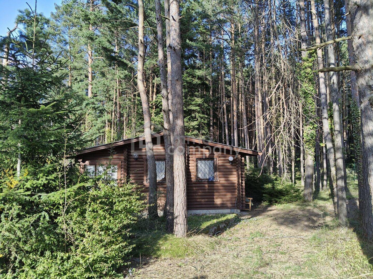 Gemütliches Holzhaus, umgeben von hohen Bäumen und üppiger Vegetation.