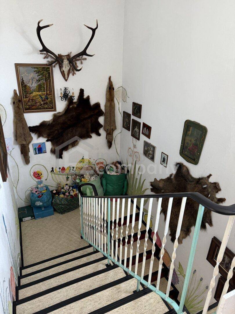 Treppenhaus mit Teppichboden und Wänden, die mit Jagdtrophäen und Bildern dekoriert sind.