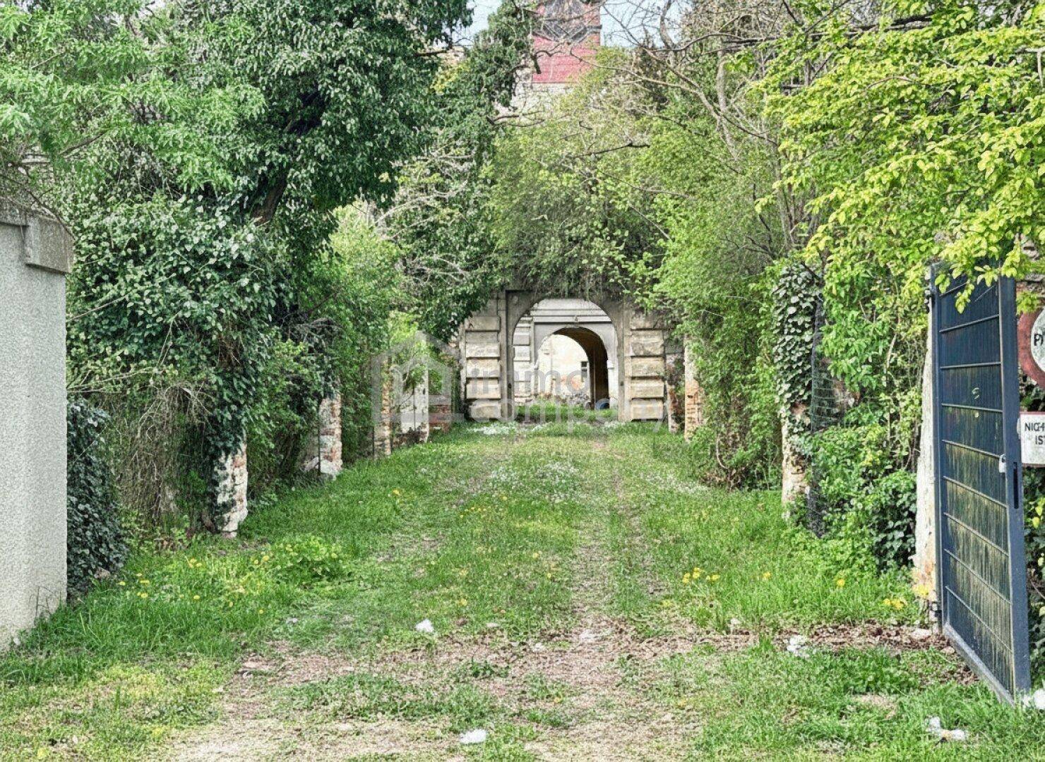 Überwachsene Auffahrt führt zu einem historischen Torbogen, umgeben von viel Grün.