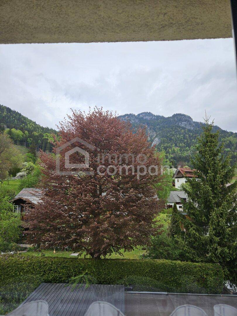 Panoramablick auf die umliegende Berglandschaft mit Bäumen und Häusern.