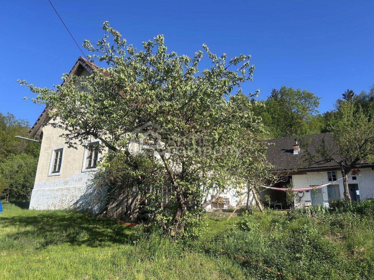 Weiß getünchtes Gebäude mit dunklem Dach, umgeben von üppigem Grün und einem blühenden Baum.