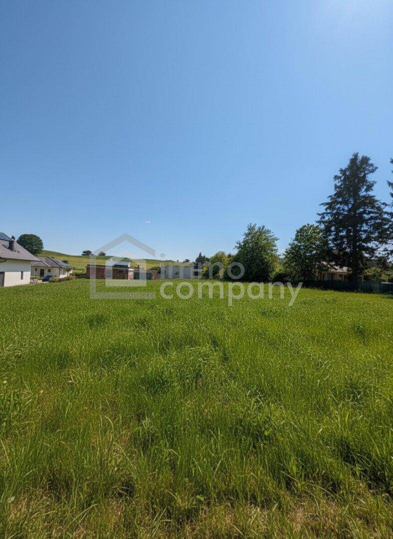 SONNIGER BAUGRUND - Viel Platz für Ihr Traumhaus! - Ansicht 2