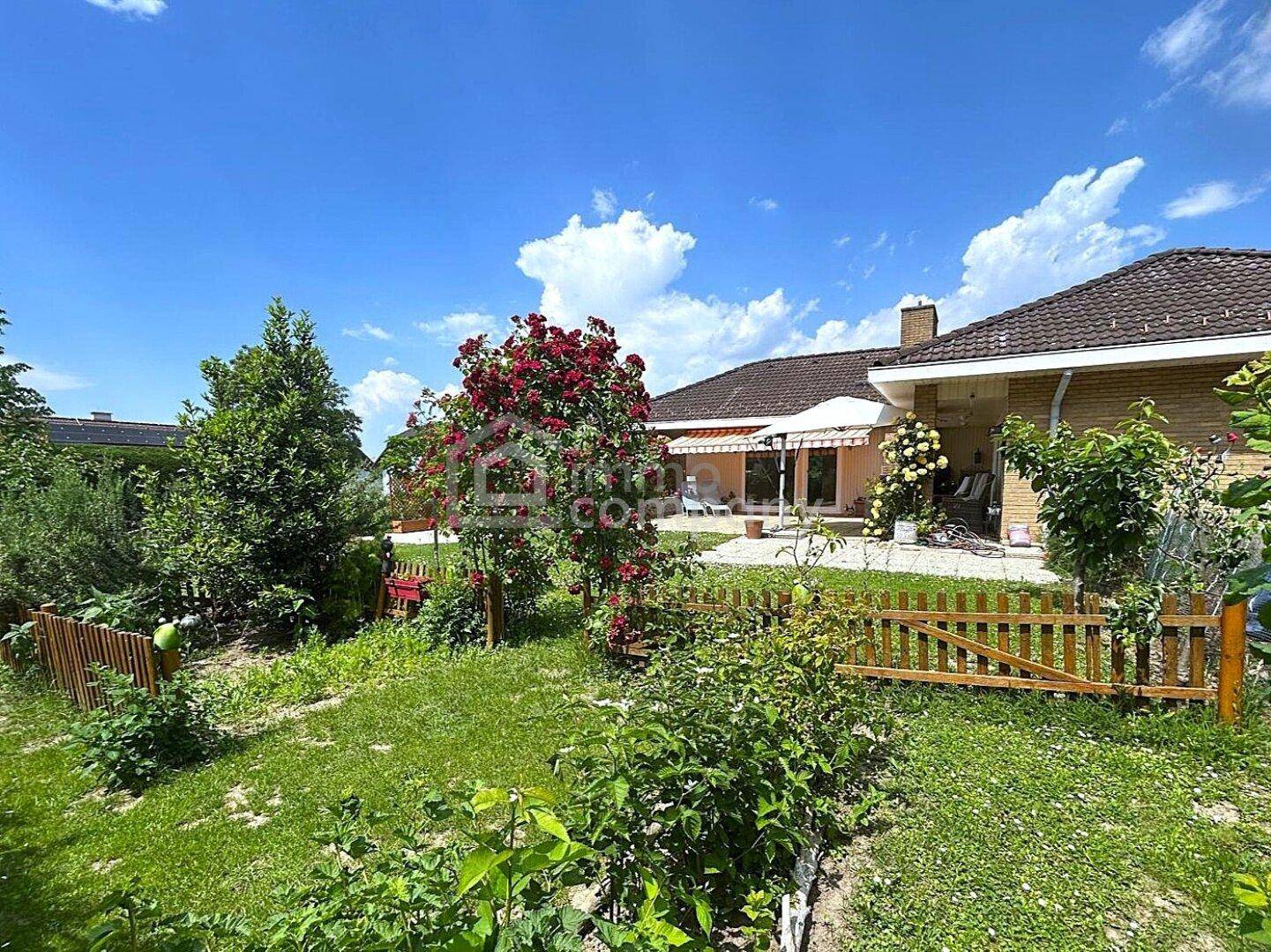 Blühender Garten mit Rosenbüschen und weiteren Pflanzen, die das Haus umgeben.