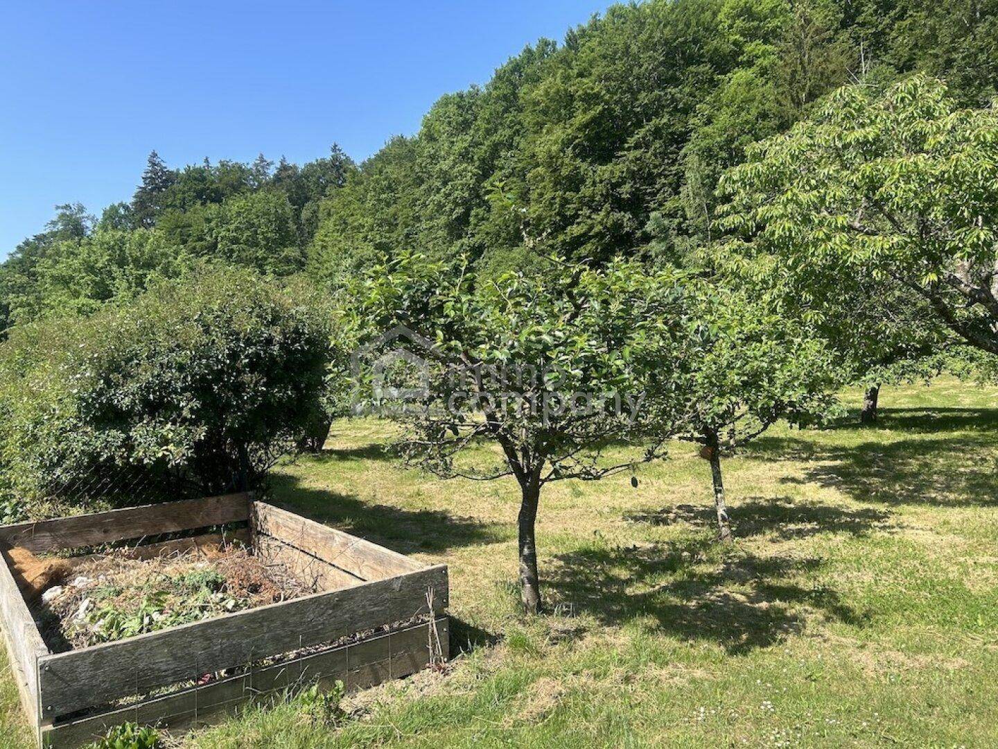 Grüner Gartenbereich mit Bäumen und einem Komposthaufen am Waldrand.